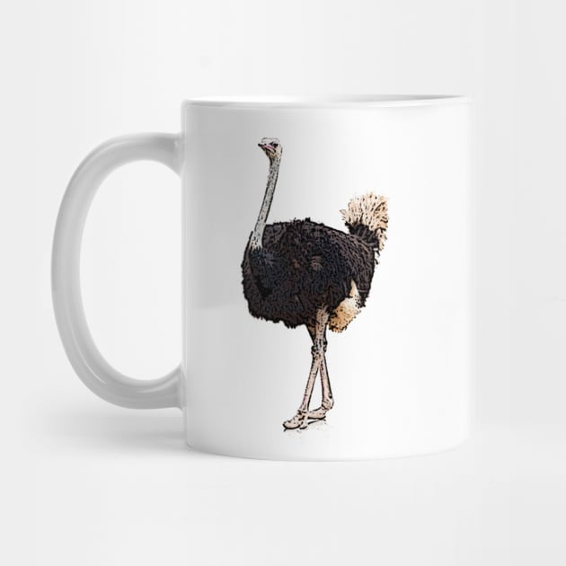 Ostrich by HIghlandkings
